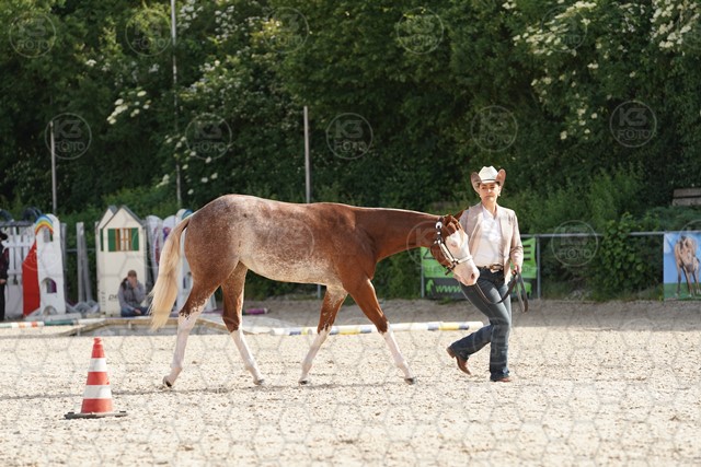 sA9K07390.JPG